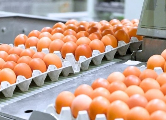 Страховые продукты для бизнеса